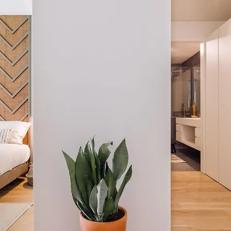 Doucen - 2 Bedrooms, Terrace In Marques De Pombal